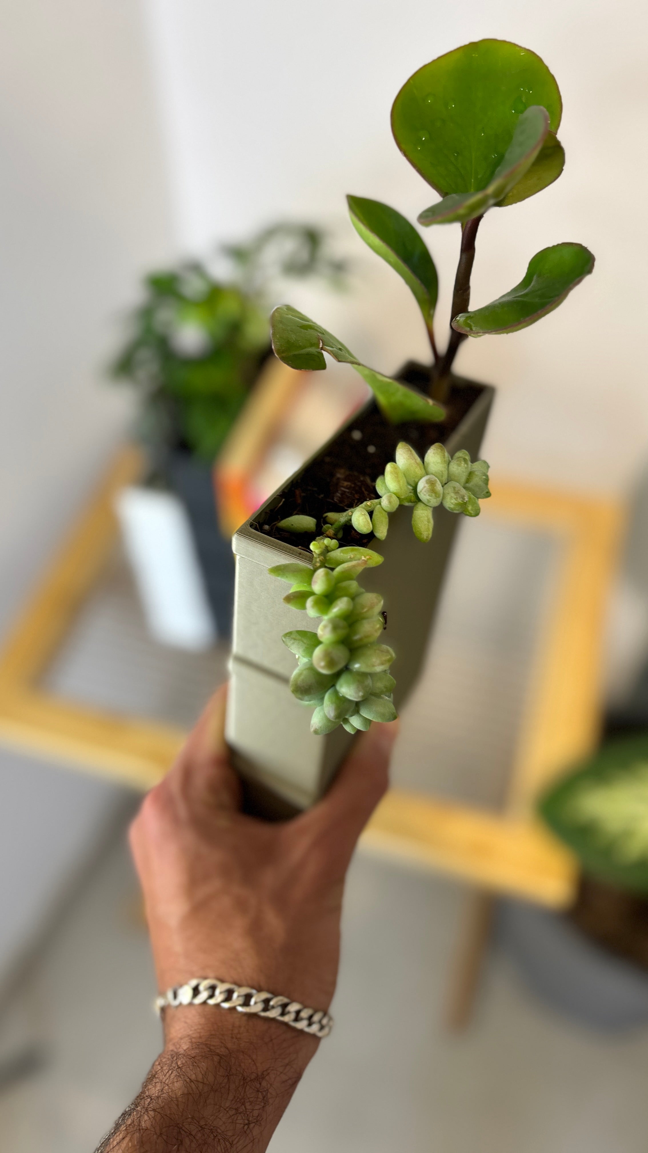 Book-shaped Bookend Planter Large